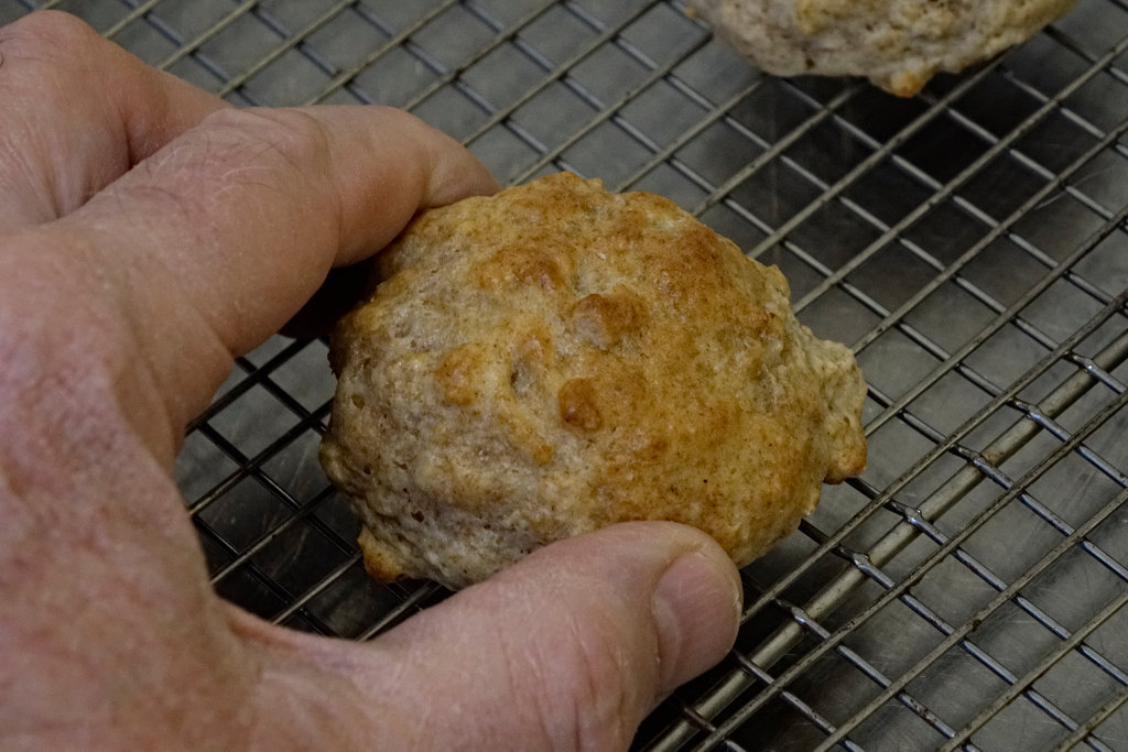 Biscuit Closeup