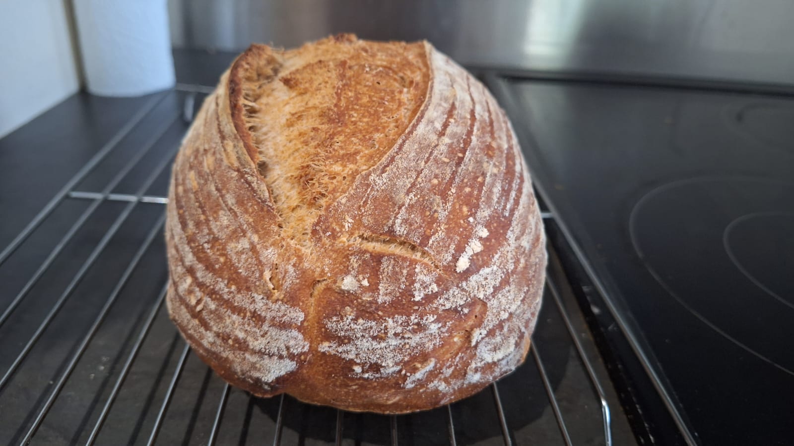 Baked loaf, half ww and half white