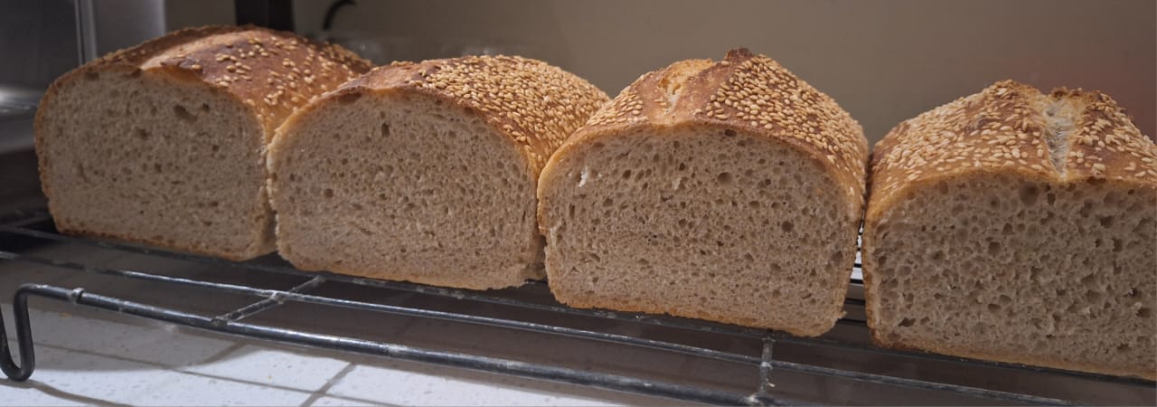 Crumb of breads 1-4 from left to right