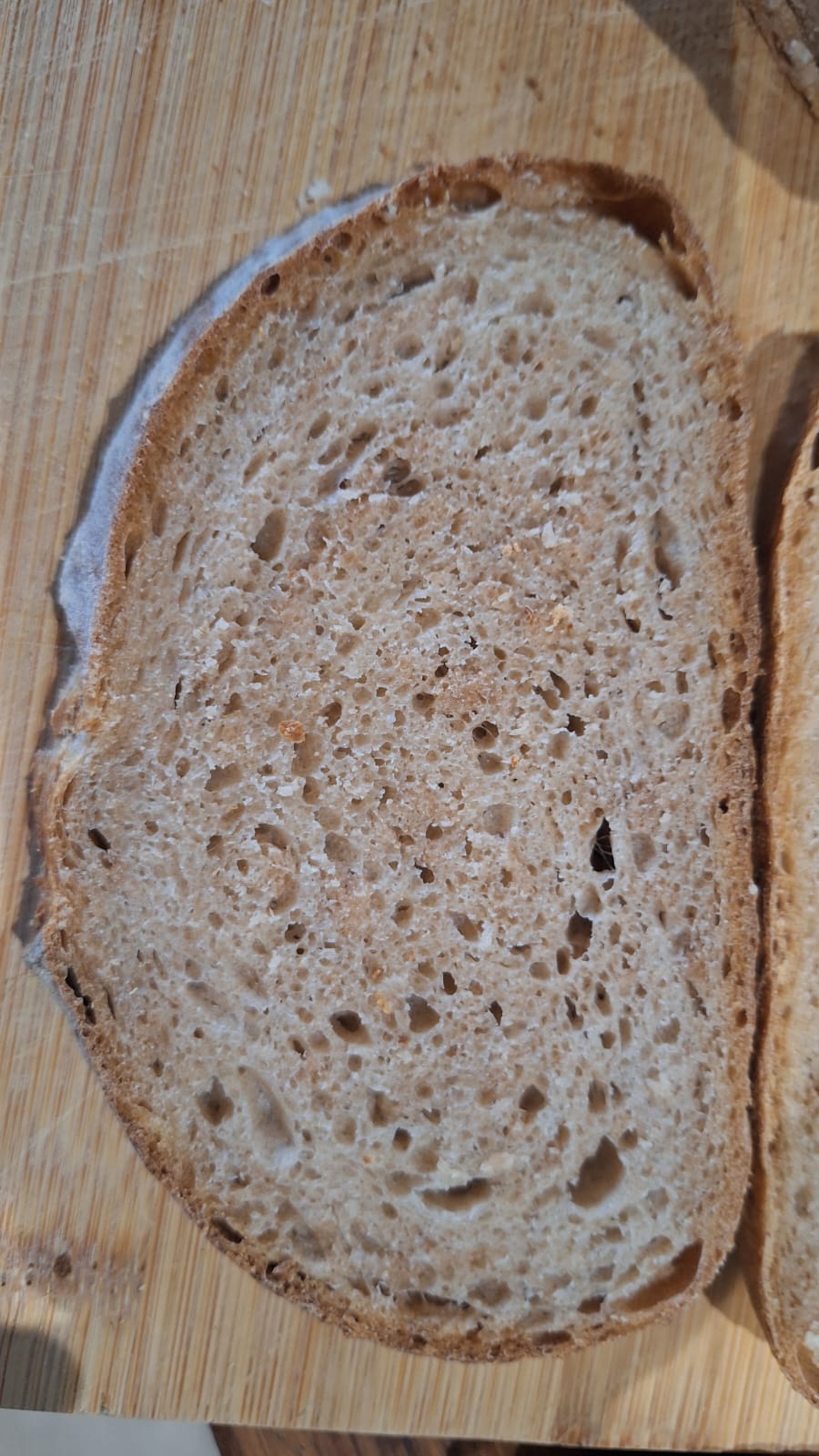 crumb of the biga/poolish bread