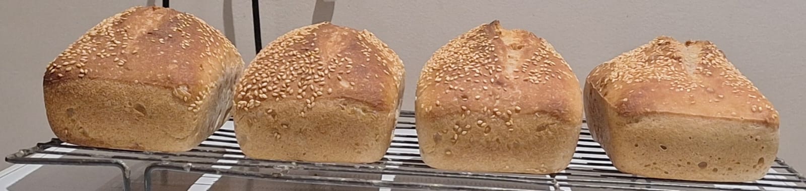 From left to right breads 1 to 4
