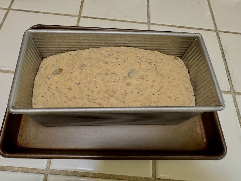 Loaf fully proofed before baking