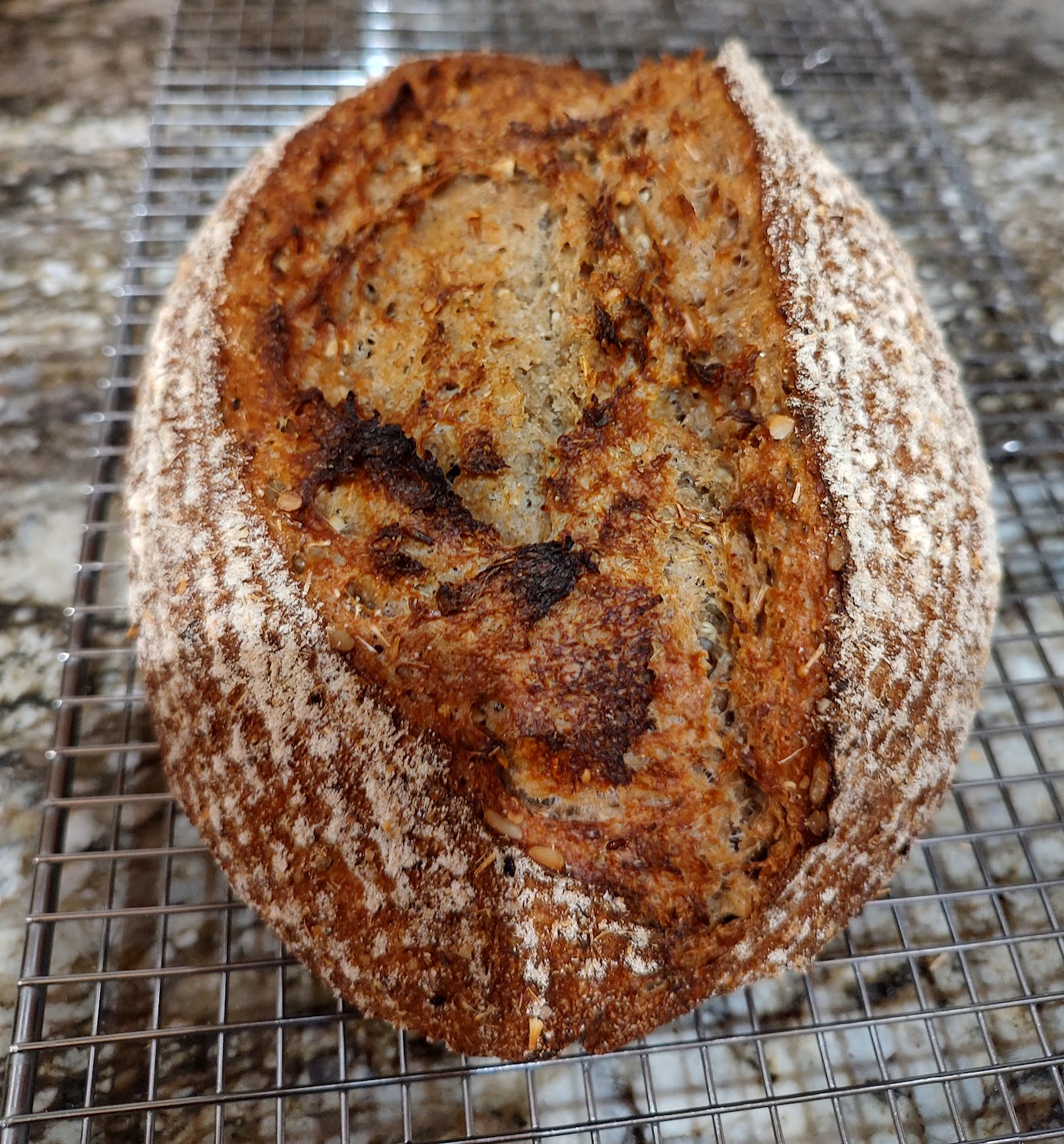 70% freshly  milled WG Sourdough
