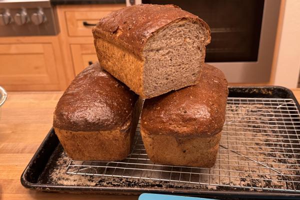 Buttermilk Bulgur Sandwich Bread