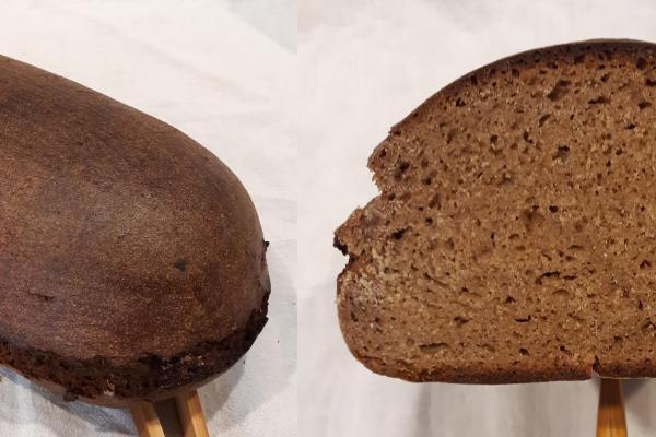 Jēkabpils Rye whole loaf and crumb