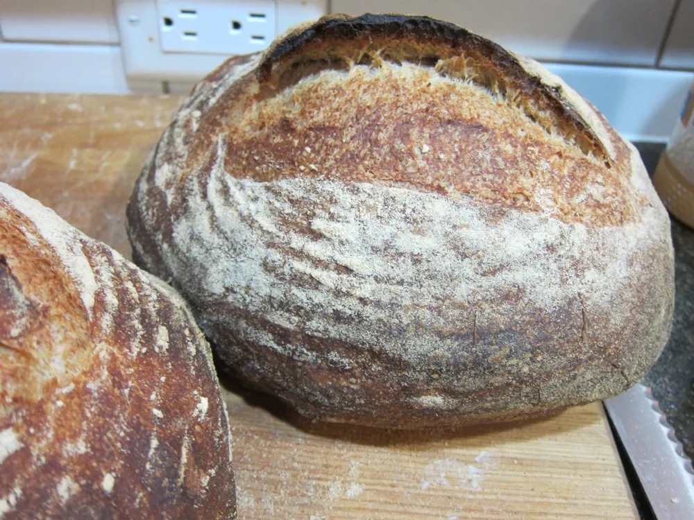 20131007sourdough1.jpg