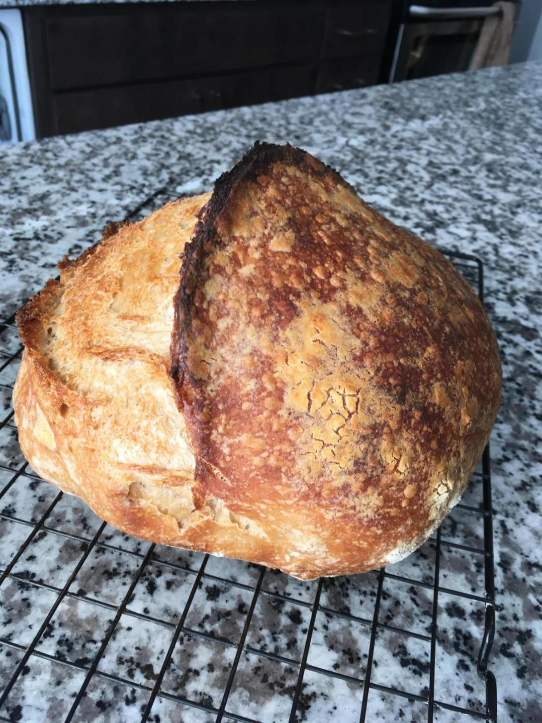 2020-06-03 08.47.21.jpg