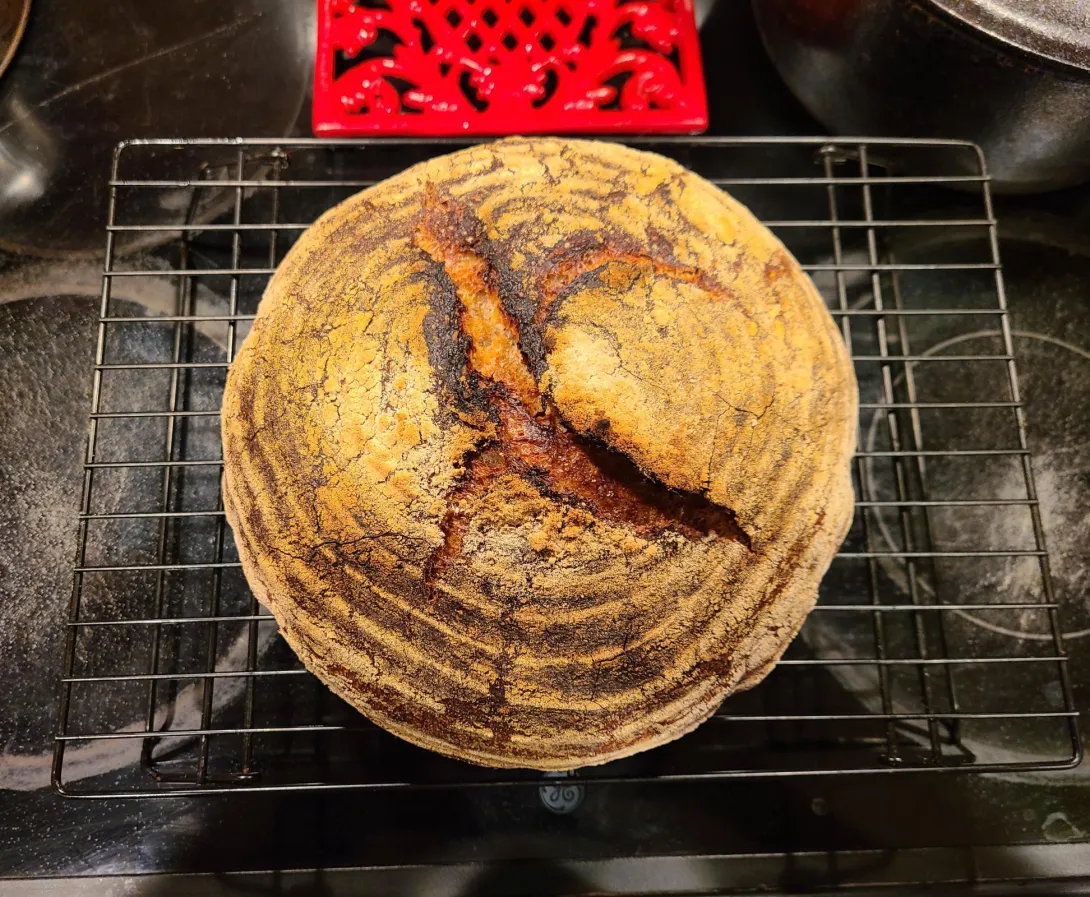 20200605_212611 (2).jpg