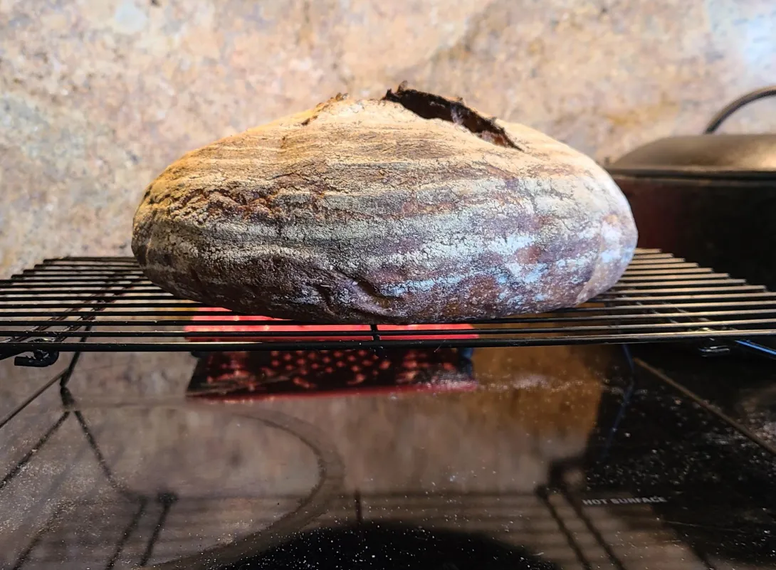 20200606_095239 (2).jpg