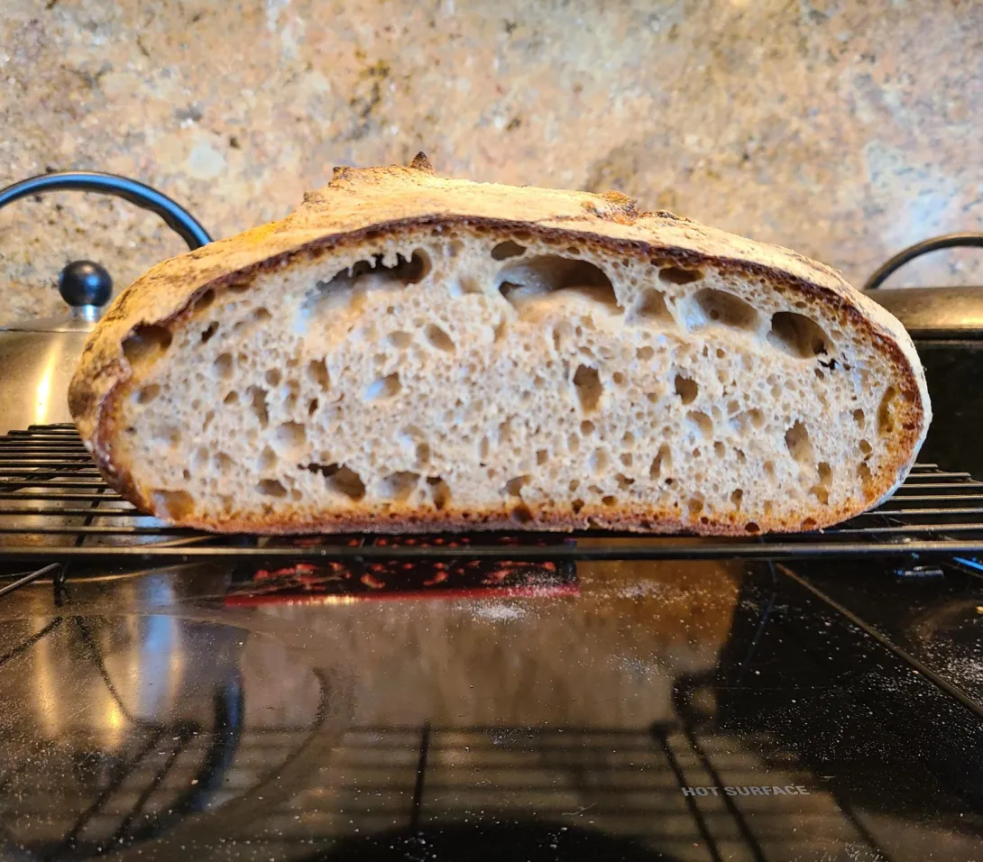 20200606_095420 (2).jpg