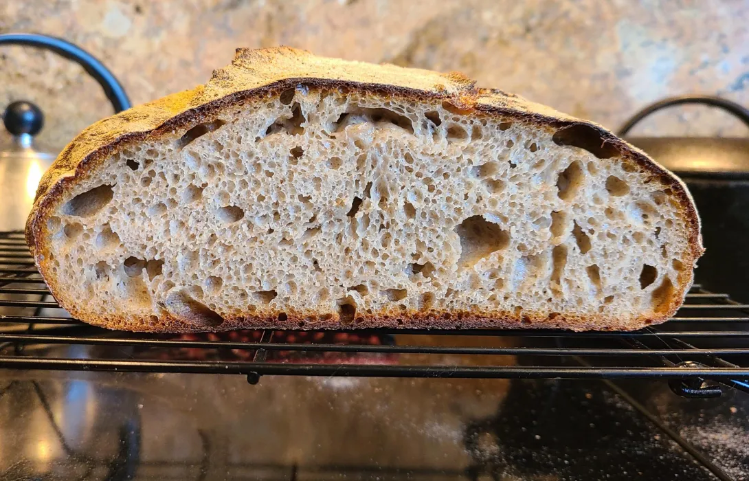 20200606_095617 (2).jpg