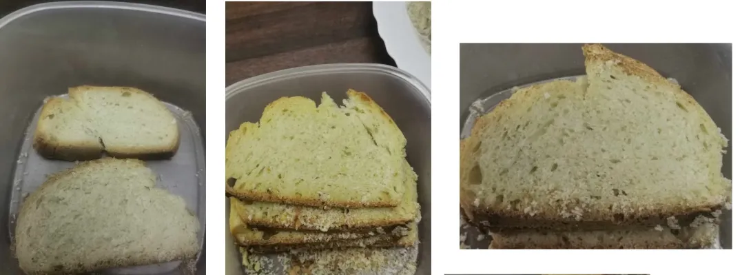 Bread 50 an 30 % rise bulk fermentation