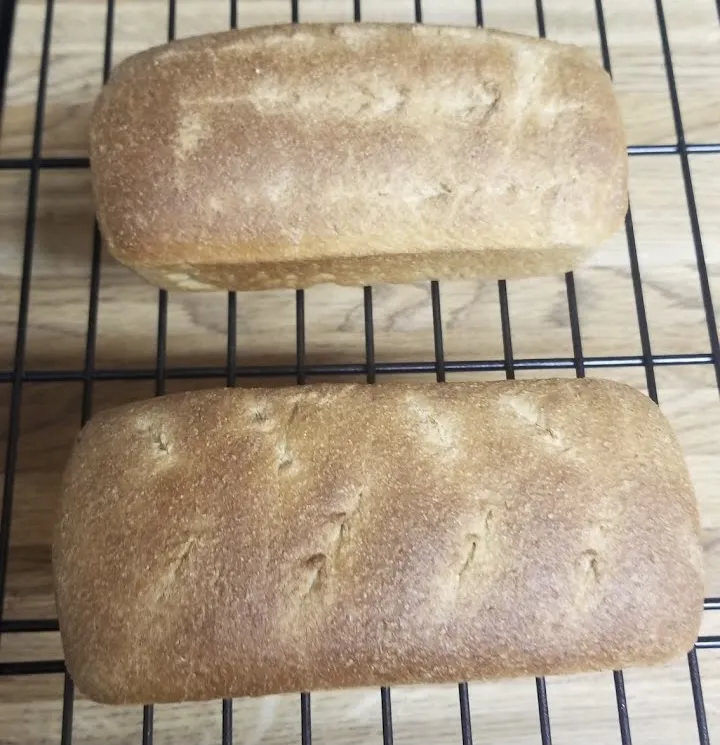 Finished loaves 