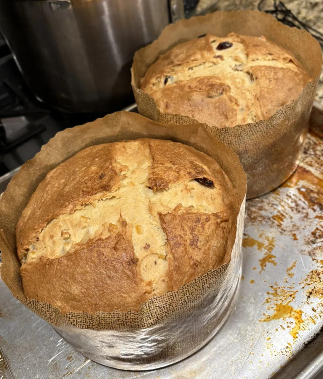 Panettone out of the oven