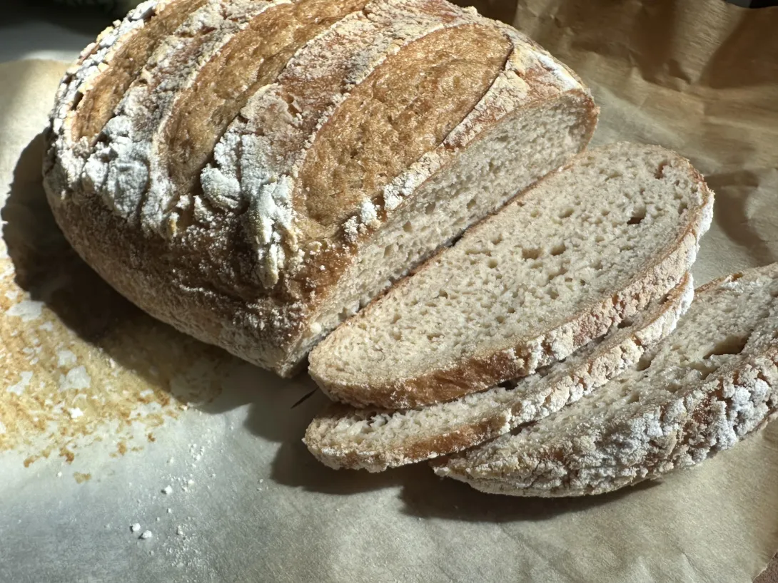 GF sourdough make with brown rice and sorghum flour blend
