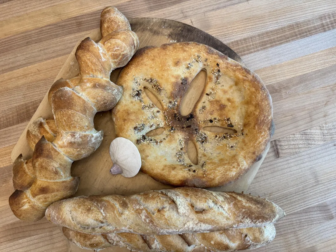 Sand dollar fougasse and it’s inspiration