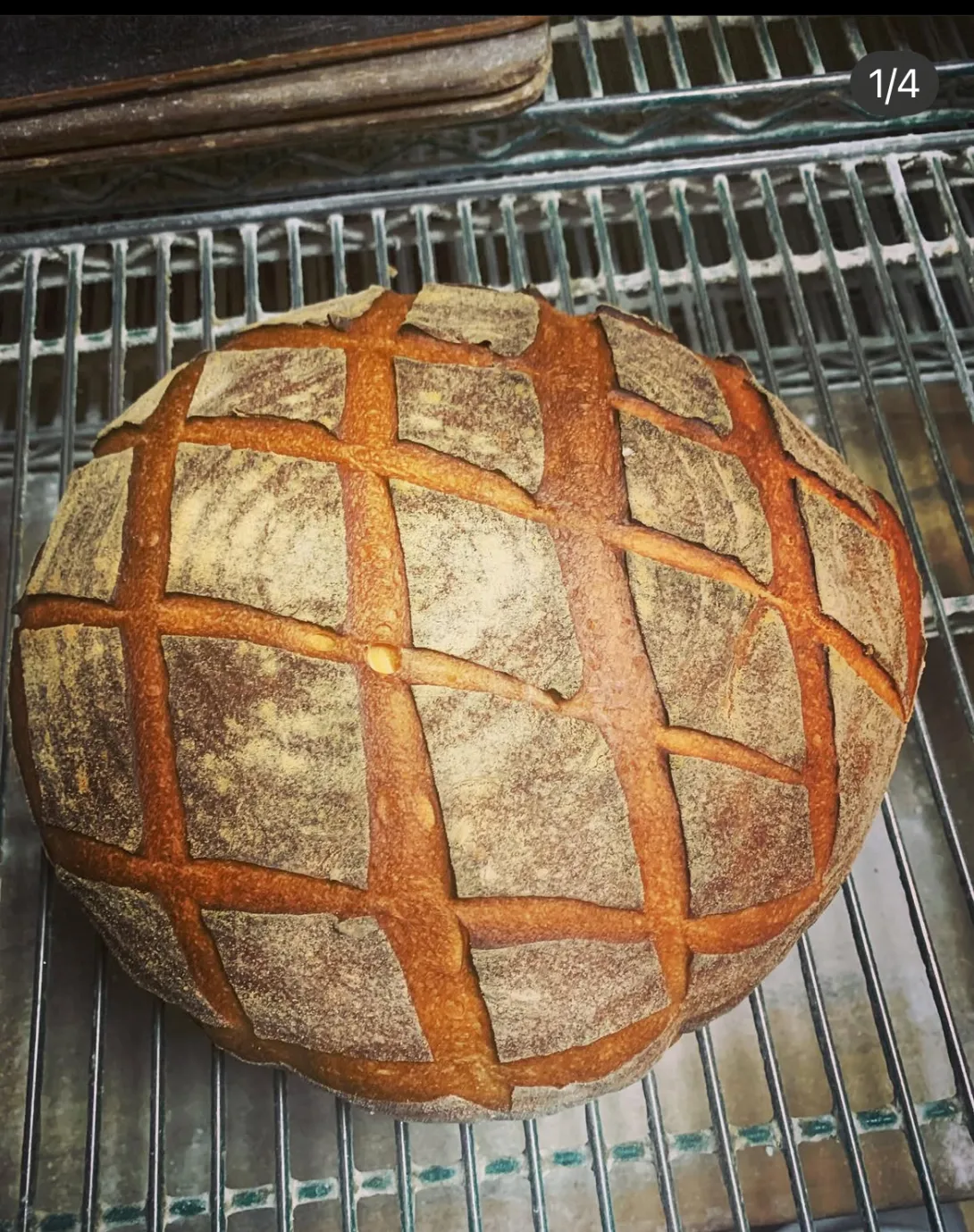 Sourdough boule
