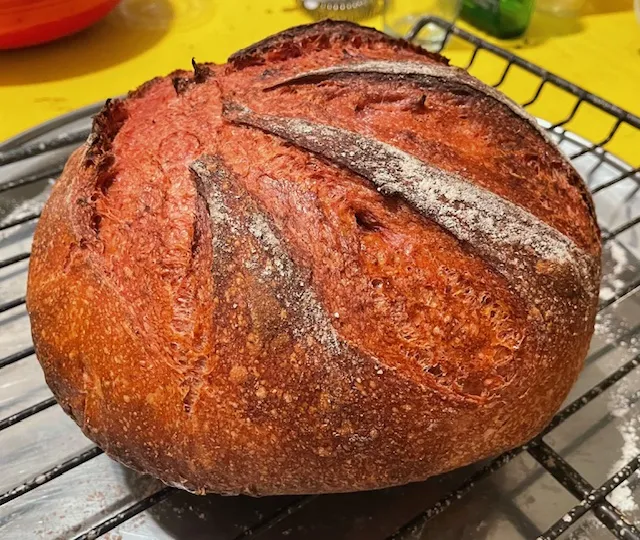 beet bread boule