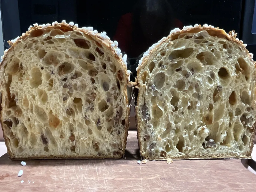 May 5 panettone