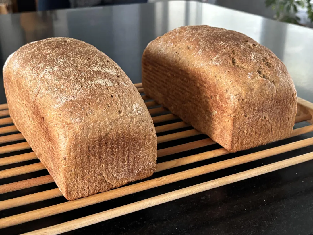 Milk Rye Bread