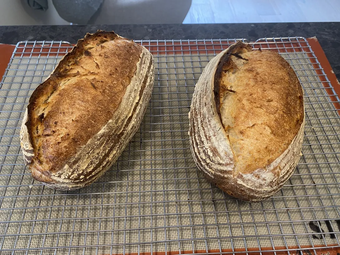 10% stone-milled whole-wheat sourdough