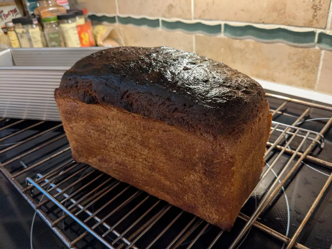 My chestnut-colored Frisian black bread having been painted down with boiling water