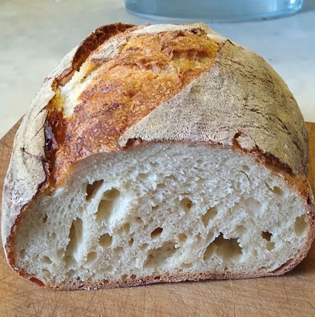 60% rimacinata, 40% Manitoba with 'hungry' SD starter