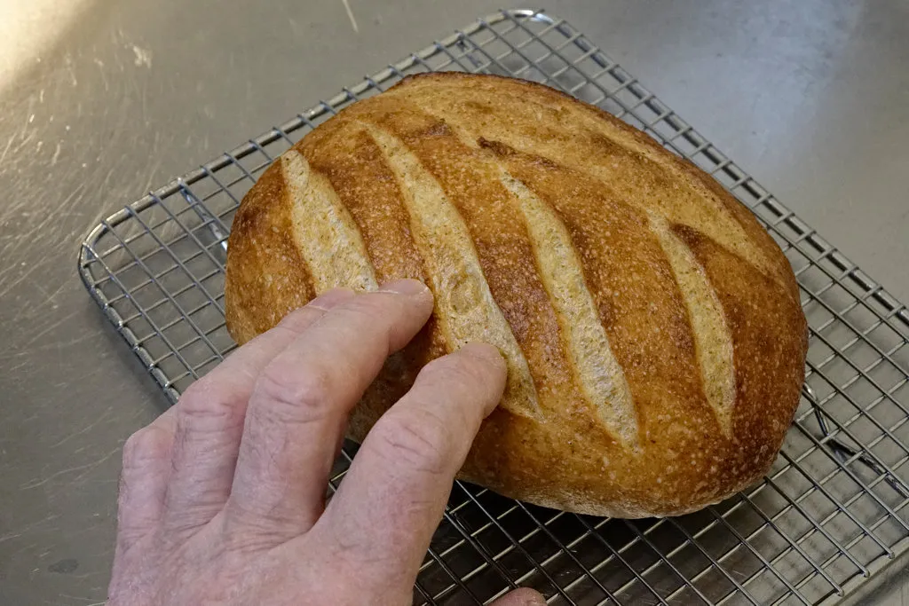 Loaf - overall view