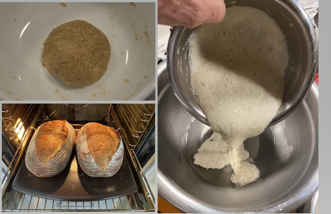 Firm rye starter to 125% hydration white levain and baked results