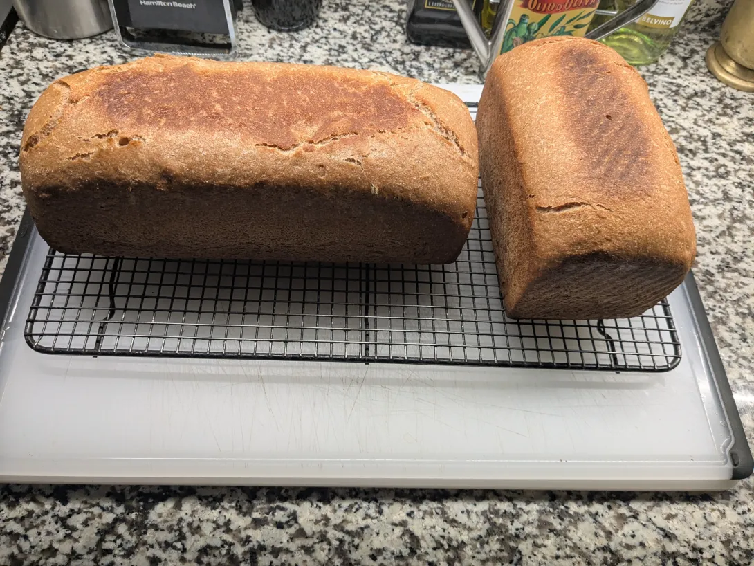 Pullman loaf bread 