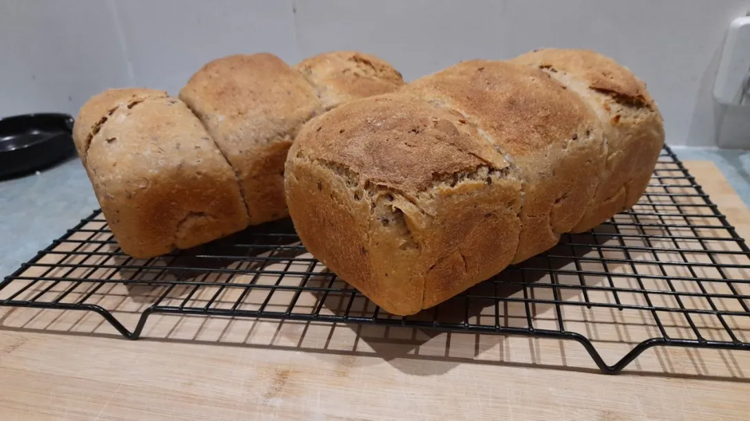Sourdough pan loaves