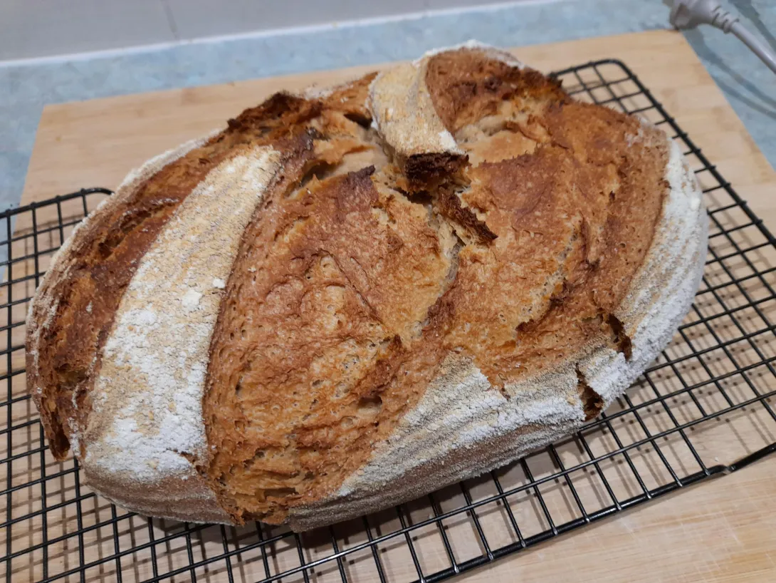 Sourdough chakki atta loaf