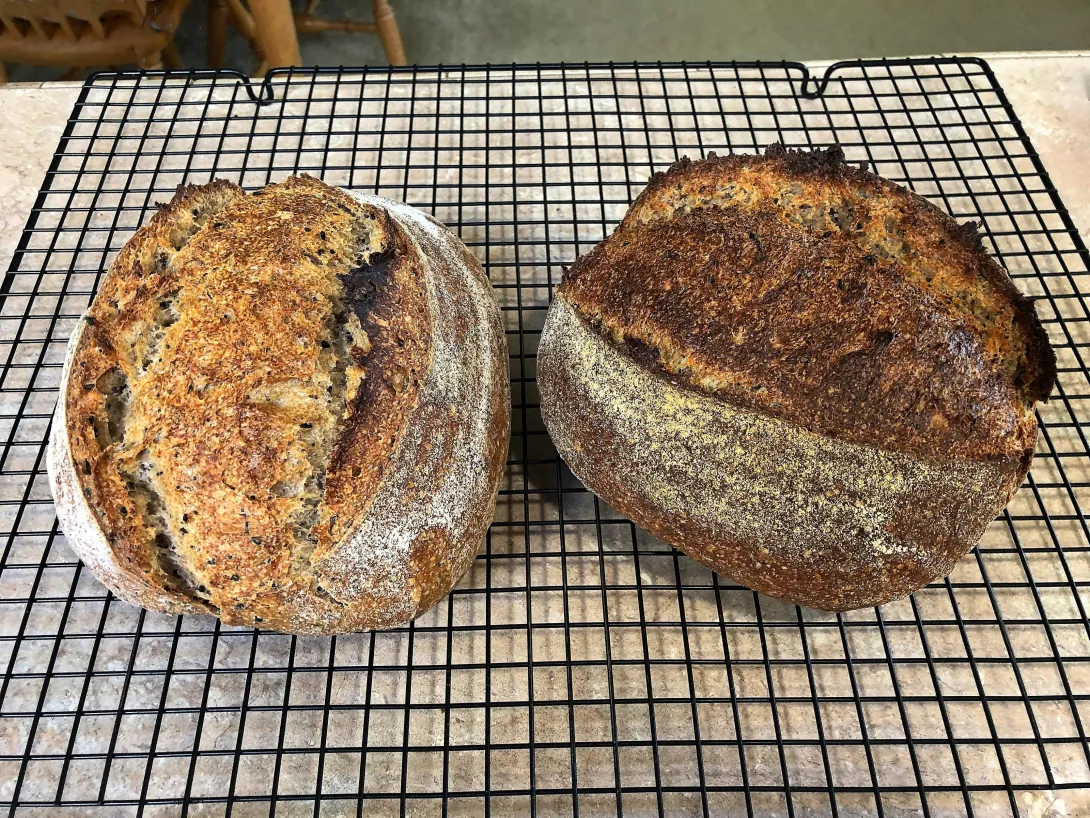 Image of Ancient Grain SD With (Mostly) Black Sesame goes here