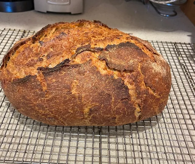 Fabulous sourdough cheese bread  made with Guinness beer and 40% whole wheat flour