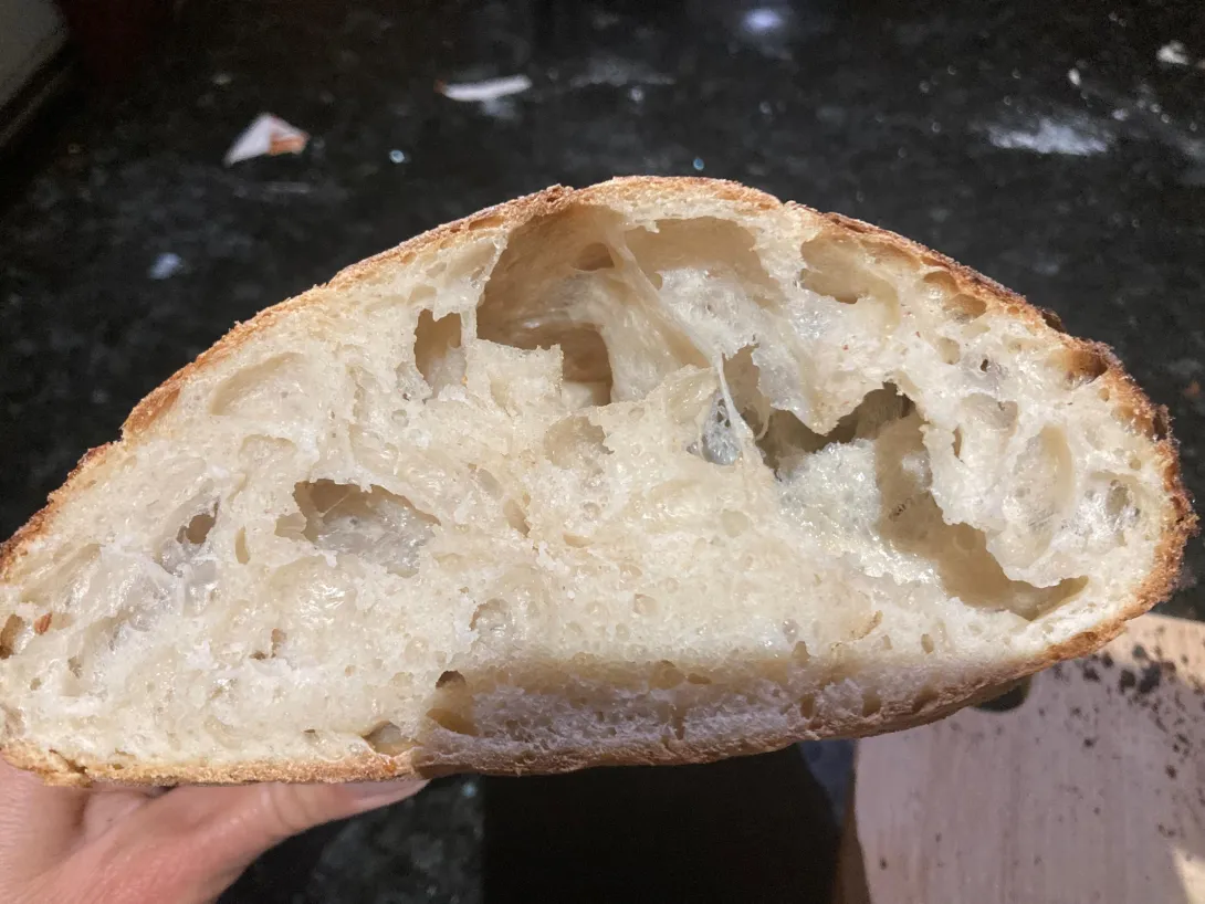Sourdough bread cut in half, large holes