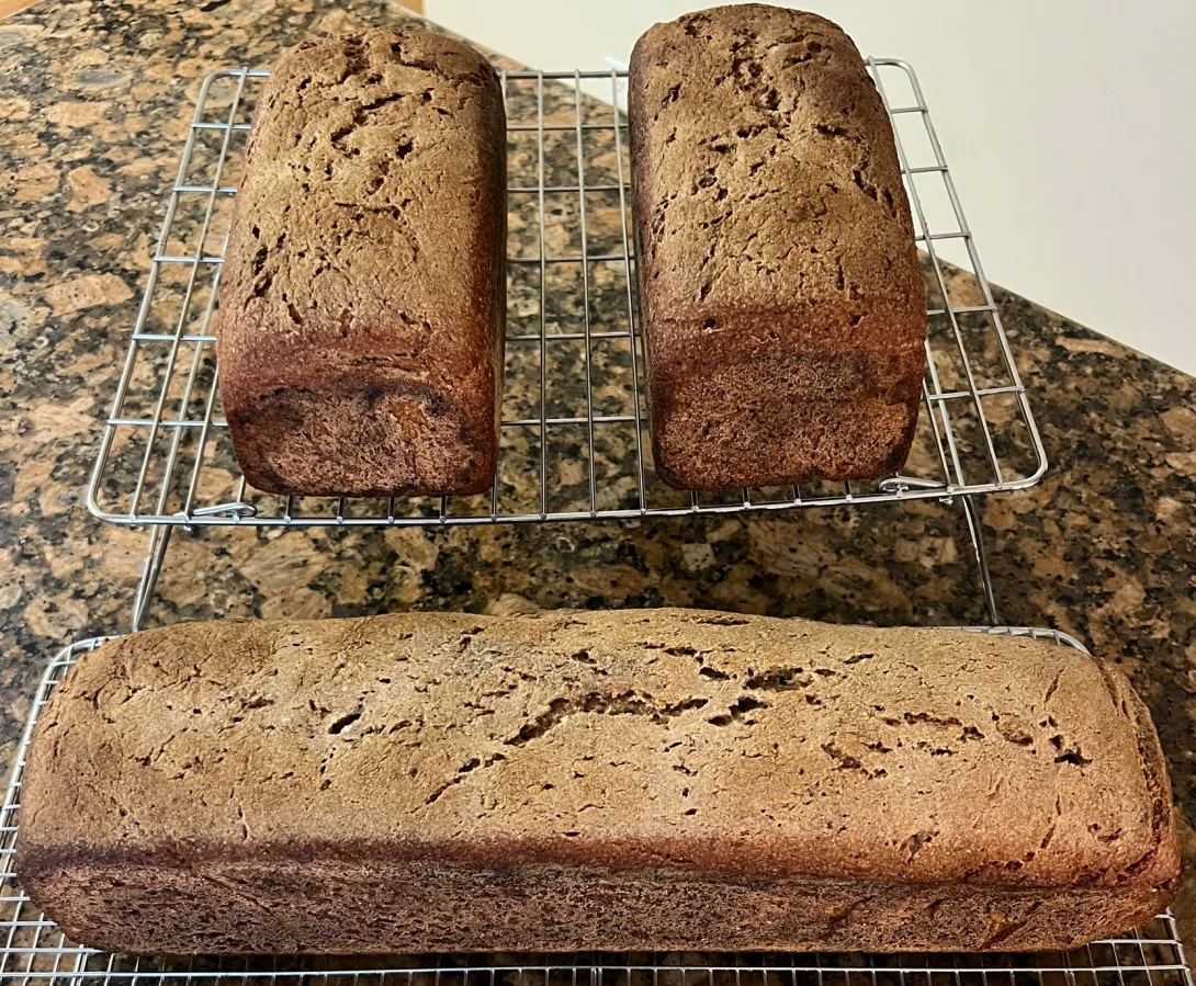 3 loaves of Sourdough Bread-Prebiotic Leaven ~100%Whole Wheat