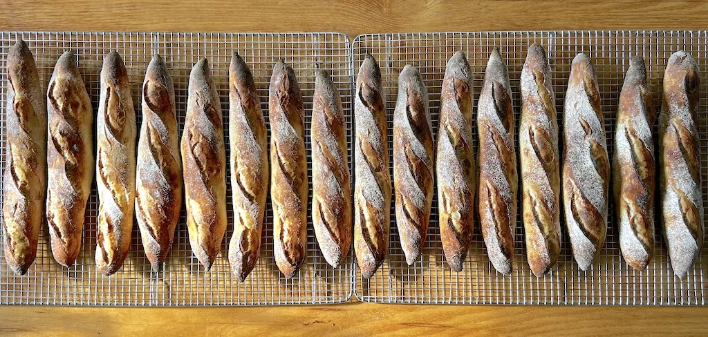 16 baguette au levain at once in a home oven, lined up on cooling racks.