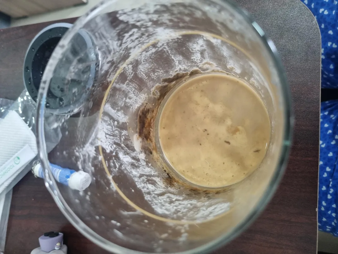 My sourdough starter, Anne