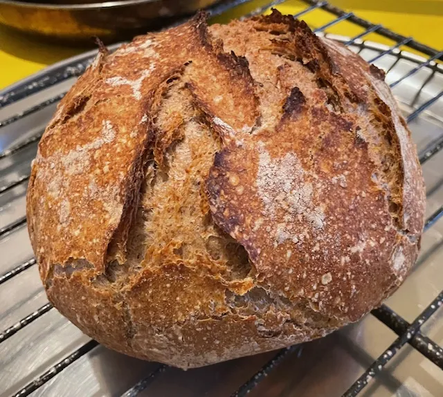a rye boule