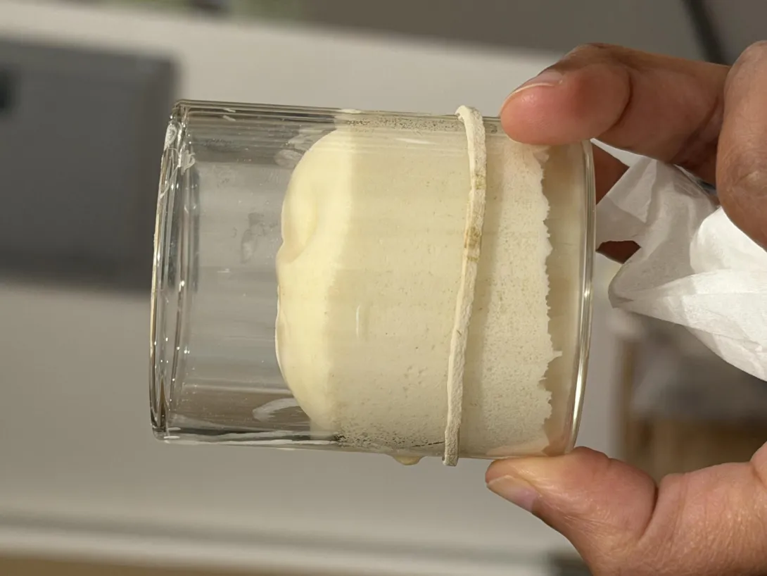 Lievito madre in small jar