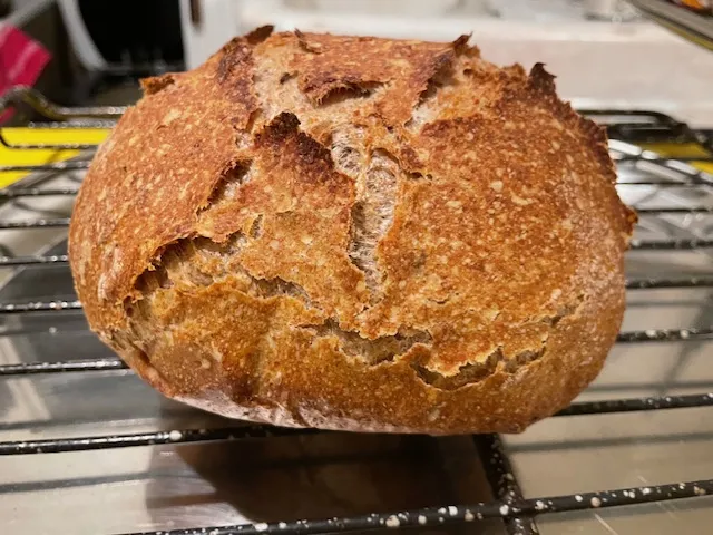 a small rye boule