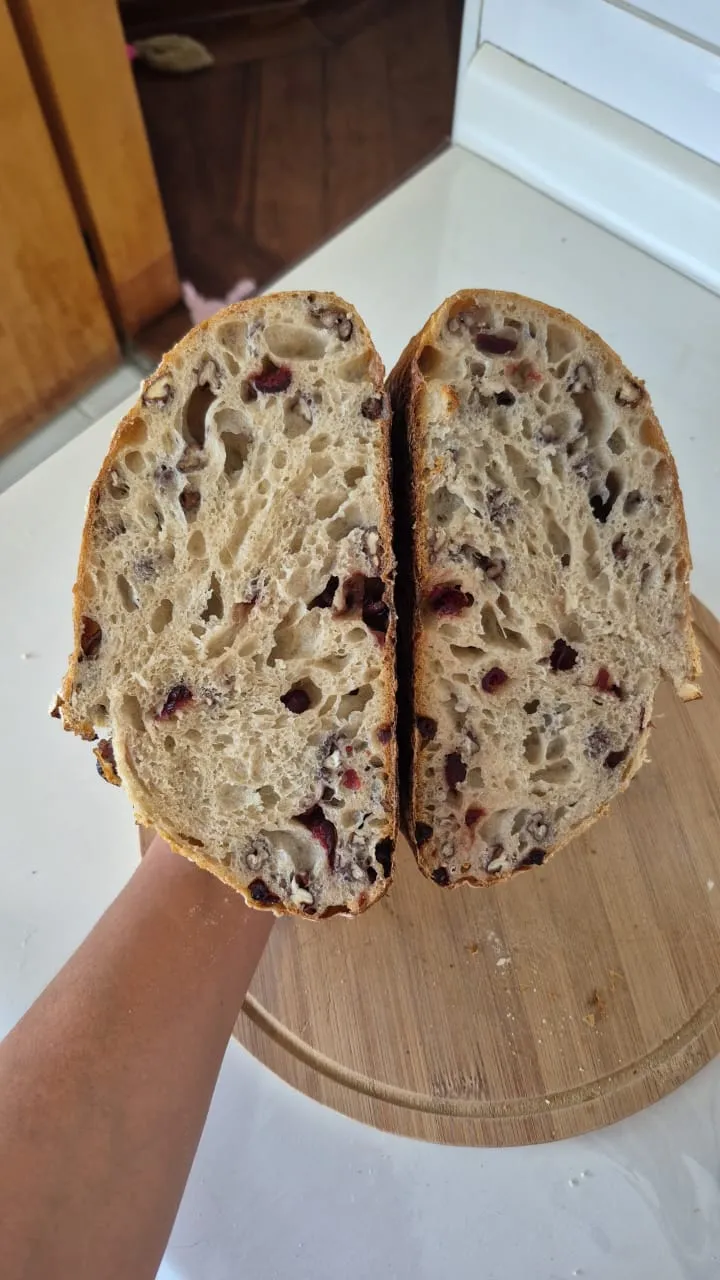 Cranberry and Pecan Artisan Sourdough