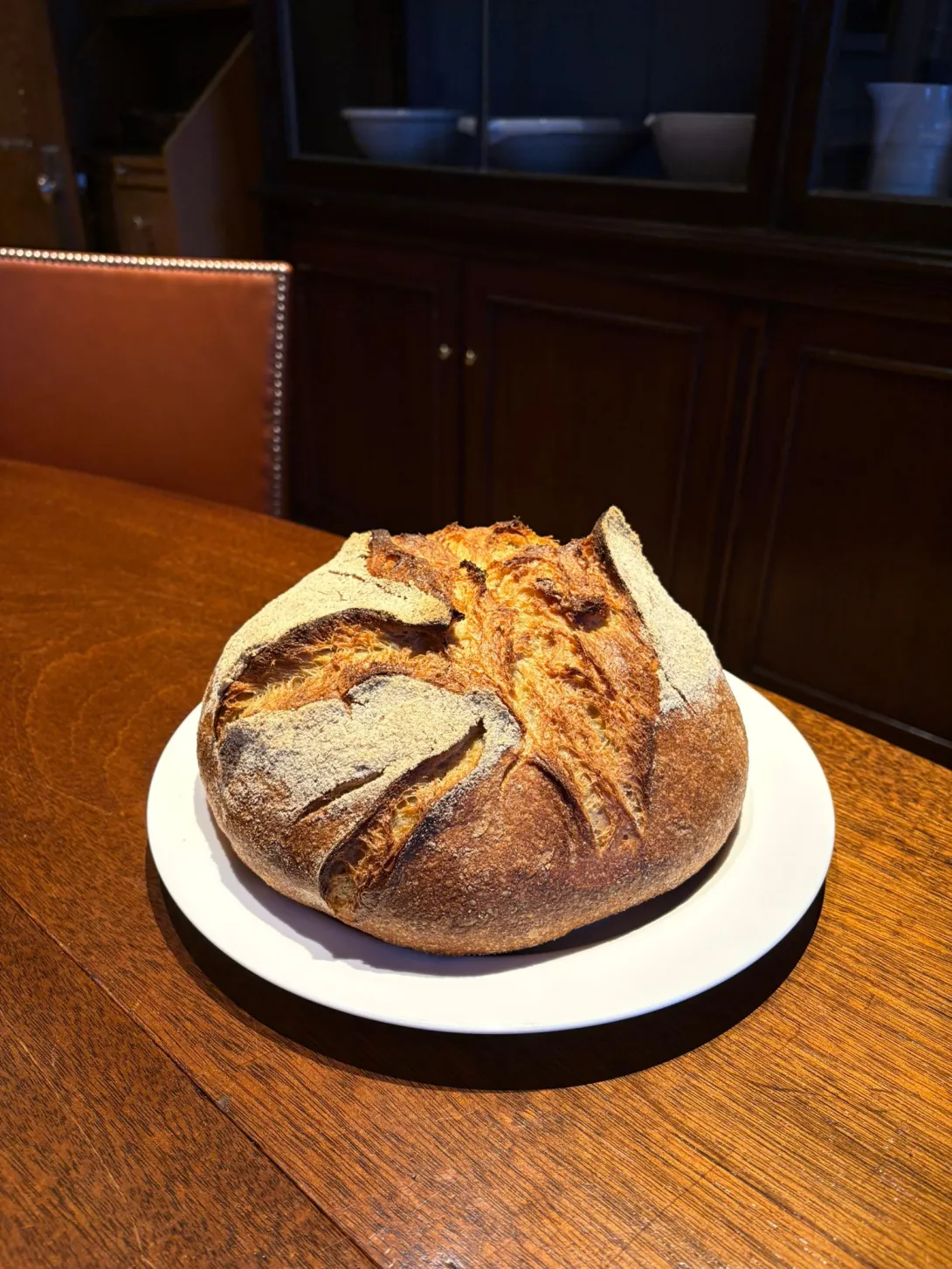 A well risen sourdough achieved with a Natural Bloom 