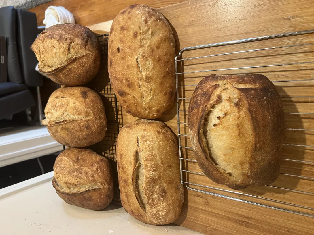 Wonder Dough loaves in 68%, 75% and 80% hydration. Same recipe just a change into hydration. 