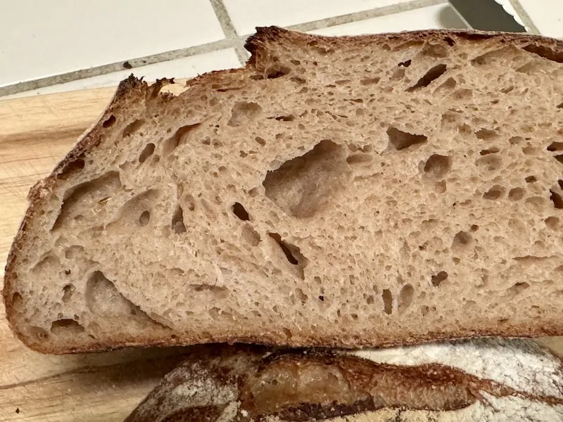 multigrain sourdough bread 