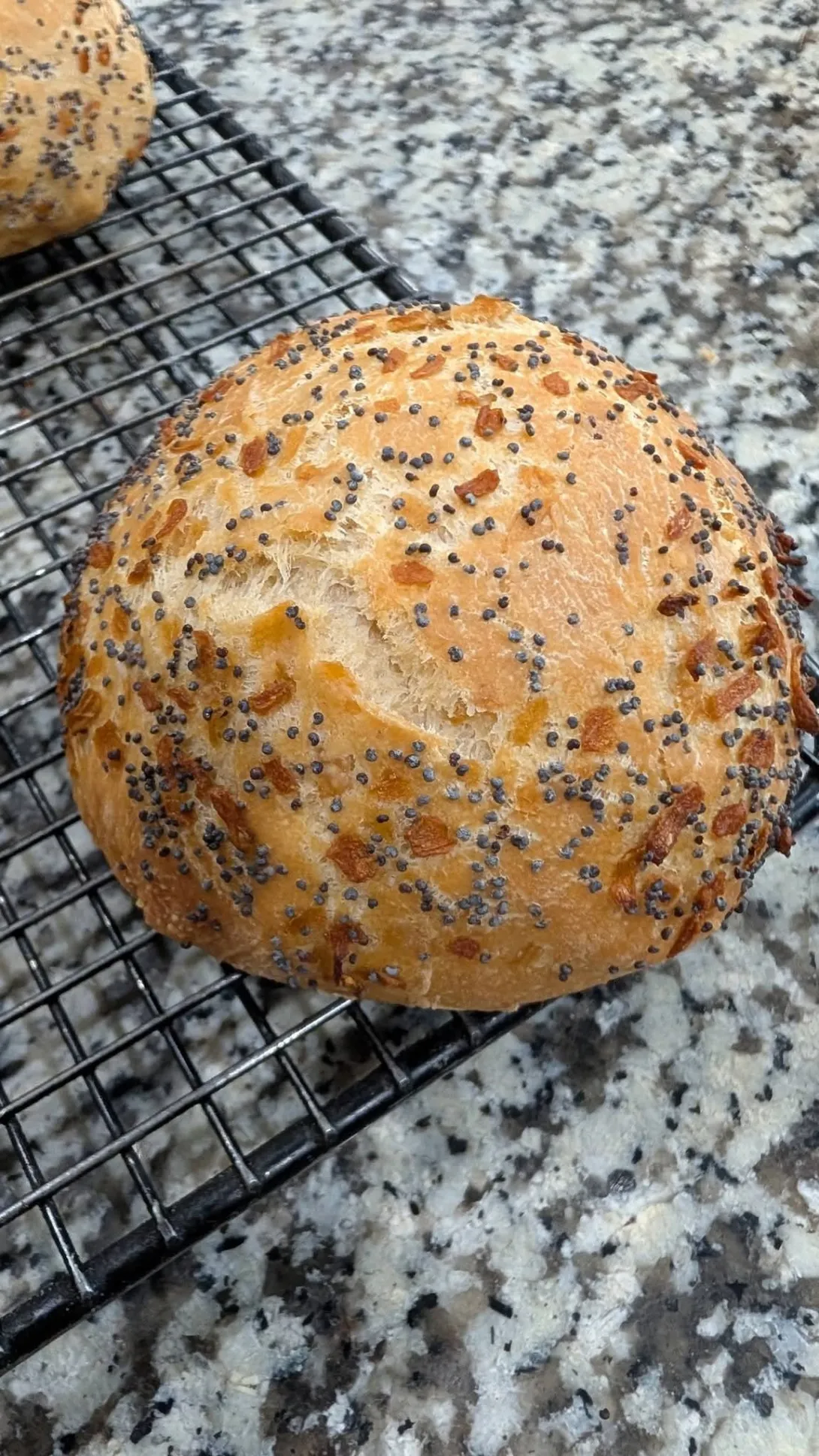 Onion roll close up.