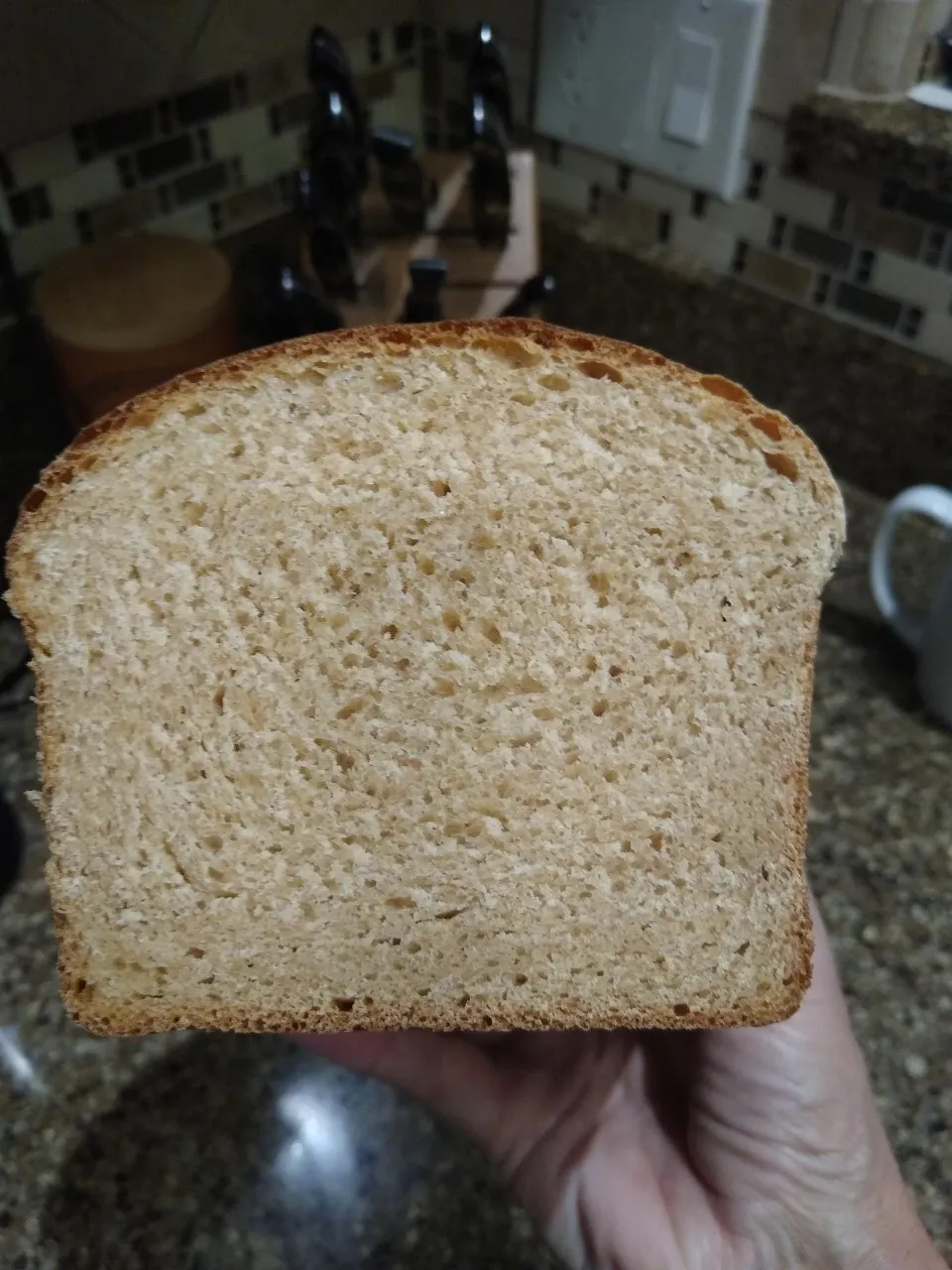 75% whole wheat baked in toaster oven.jpg