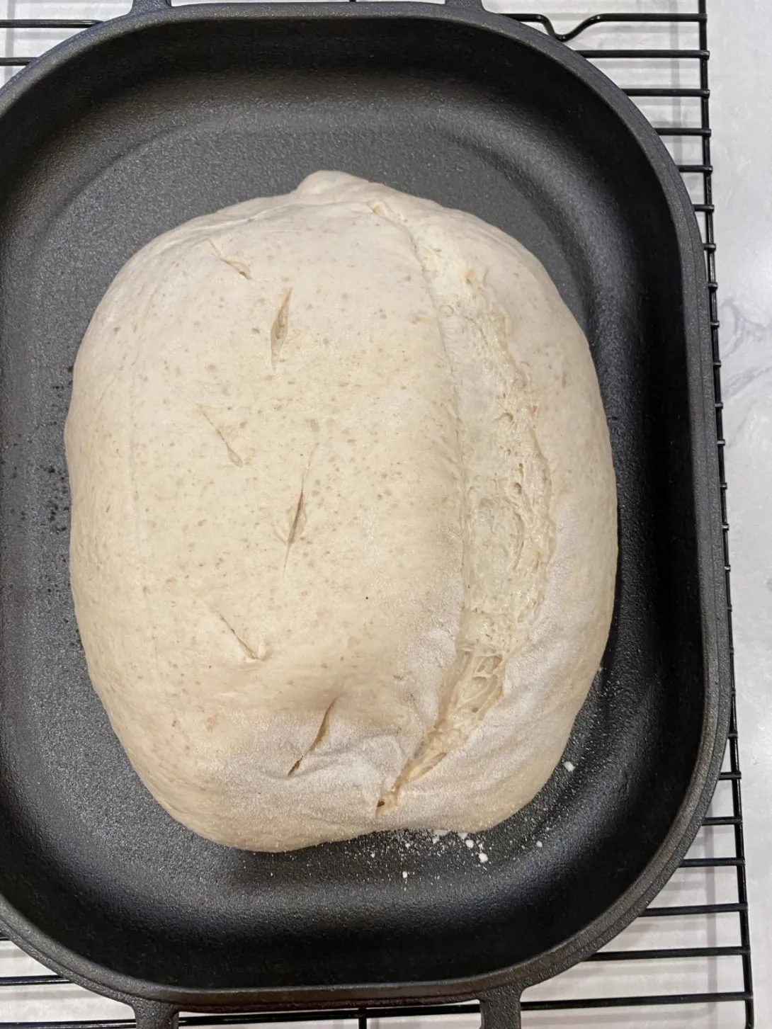 Sourdough dough after scoring