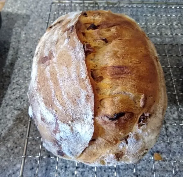 Cranberry Walnut Sourdough 1.jpg