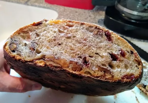 Cranberry Walnut Sourdough 2.jpg